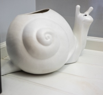 Snail's Pace