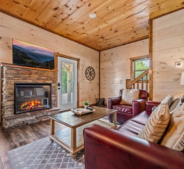 Bear Family Cabin