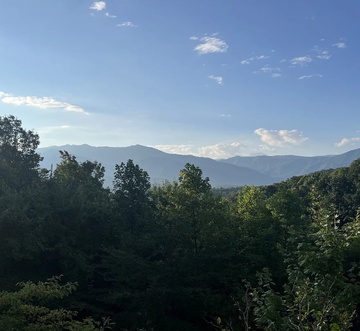 Mountain View Paradise