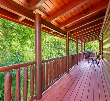 Bear Essentials Lodge