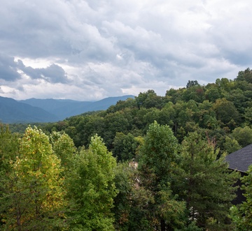 Mountain View Paradise