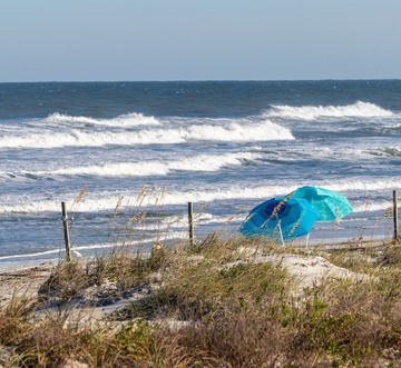 Sea Coast Gardens II 513