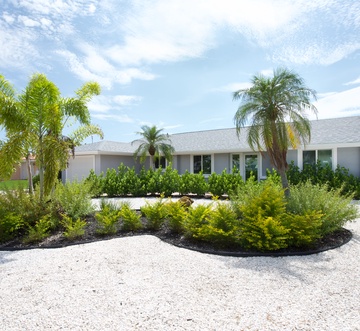 Palmview Paradise