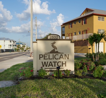 Pelican Watch #602