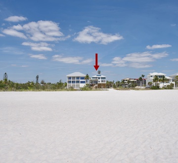 Lone Palm Retreat