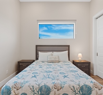 Blue Dolphin View