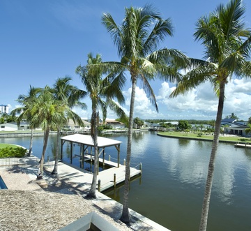 Palm Royale