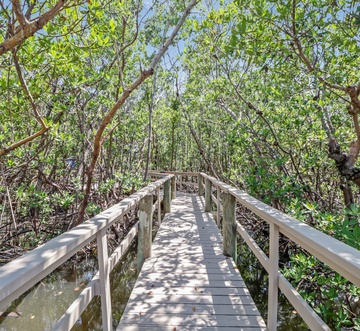 Flamingo Bayou