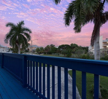 Flamingo Bayou