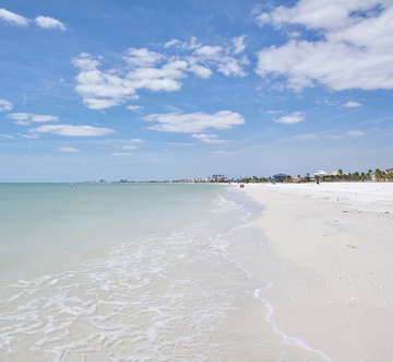 Lone Palm Retreat