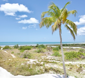 Lone Palm Retreat