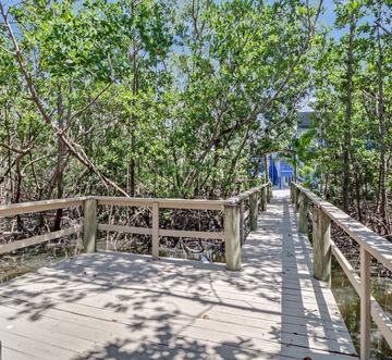 Flamingo Bayou A Left Side