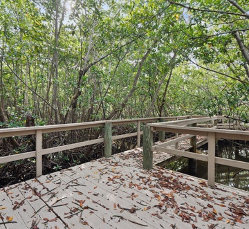 Flamingo Bayou B Right Side