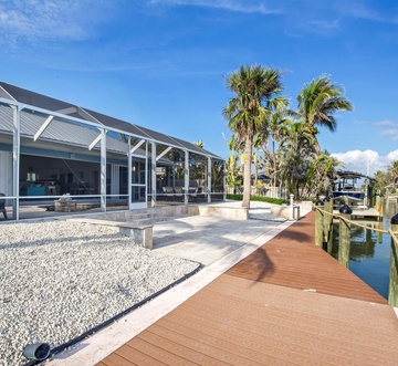 Paradise Palms