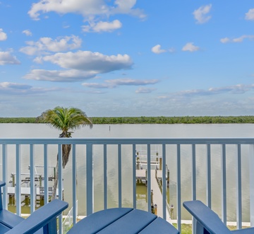 Blue Dolphin View