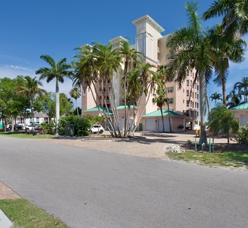 Palm Harbor #403