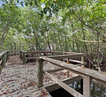 Flamingo Bayou