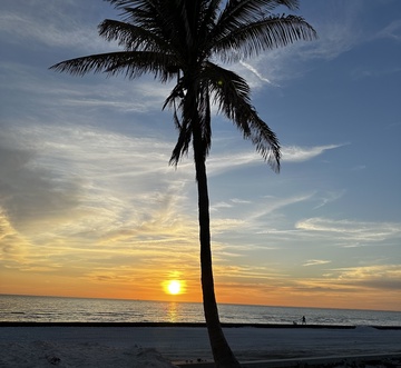 Sunset Paradise