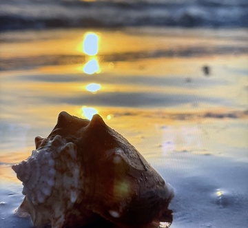 Sunset Paradise