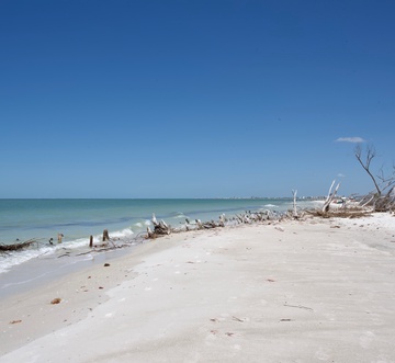 Estero Beach & Tennis 901-C