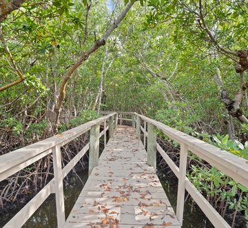 Flamingo Bayou A Left Side