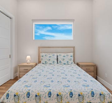 Blue Dolphin View