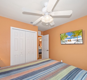 Sand Dollar on Miramar