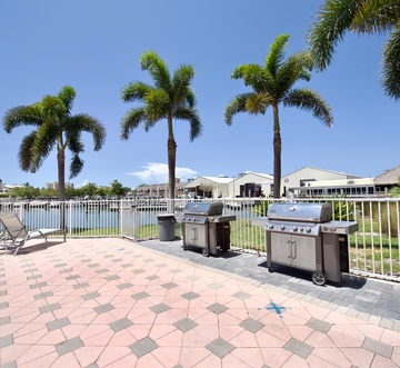 Palm Harbor #403