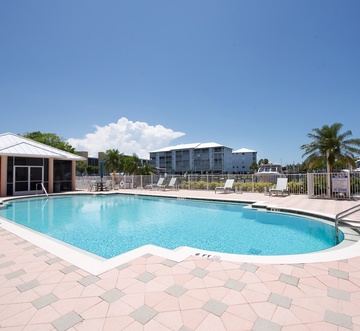 Palm Harbor #602