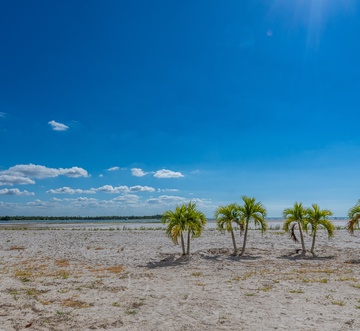 Carlos Pointe #515 - The Pelican Pad
