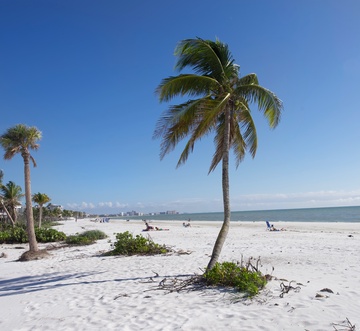 Beach Paradise Getaway