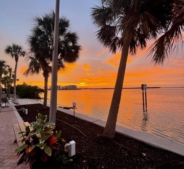 Miramar Palms