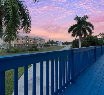 Flamingo Bayou