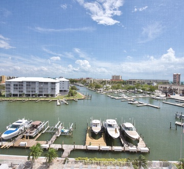 Palm Harbor #602