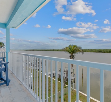 Blue Dolphin View