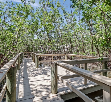 Flamingo Bayou A Left Side