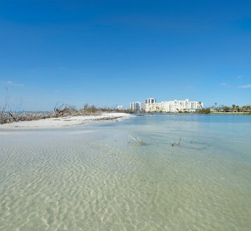 Sand Caper #406