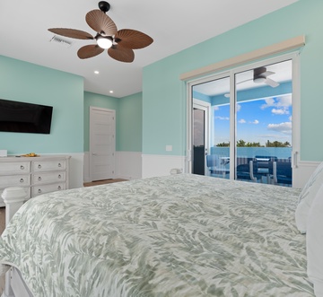 Blue Dolphin View