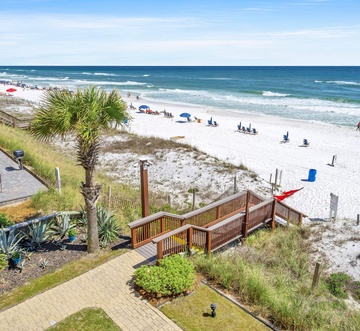 Coral Reef 25 - Coral Reef Retreat