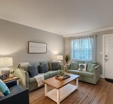 Venus 108 - Stay Salty