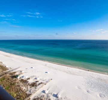 Sundestin 1704 - Sunny D