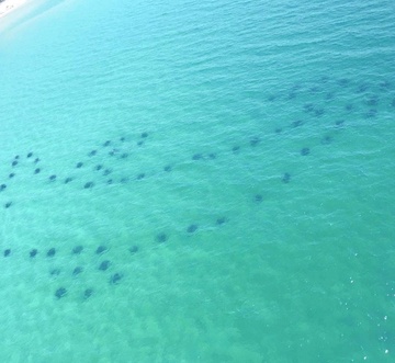 Emerald Towers 1302 - Salty Smile