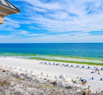 Island Princess 707 - Grouper Therapy