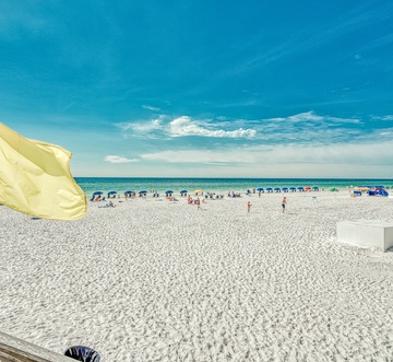 Sundestin 1704 - Sunny D