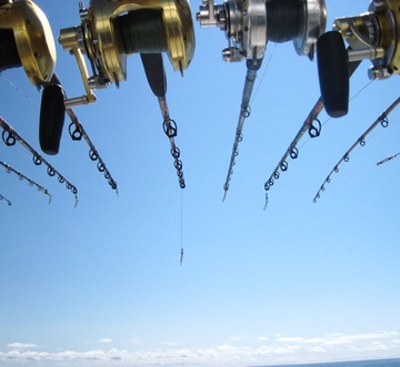 Islander 307 - Once Upon A Tide