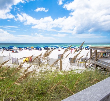 Sundestin 901 - Gone Gulfing