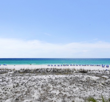 Island Princess 301 - No Shoes Retreat