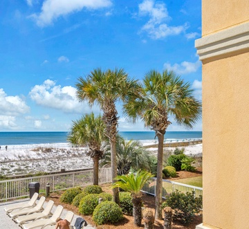 Azure 214 - Paradise Palms