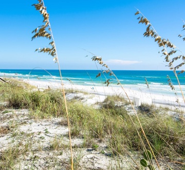 Beach House 201A - Salt Water Retreat