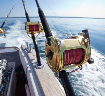 Tides at Tops'l 103 - Sunny Tide Up